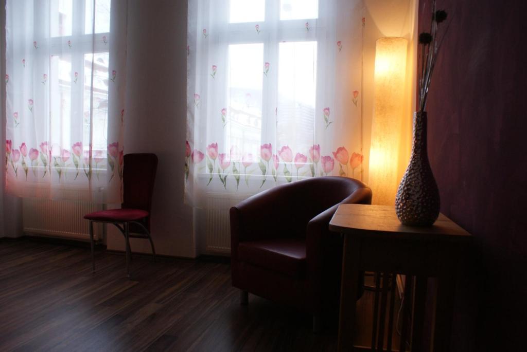 Apartmany Galeta カルロヴィ・ヴァリ 部屋 写真